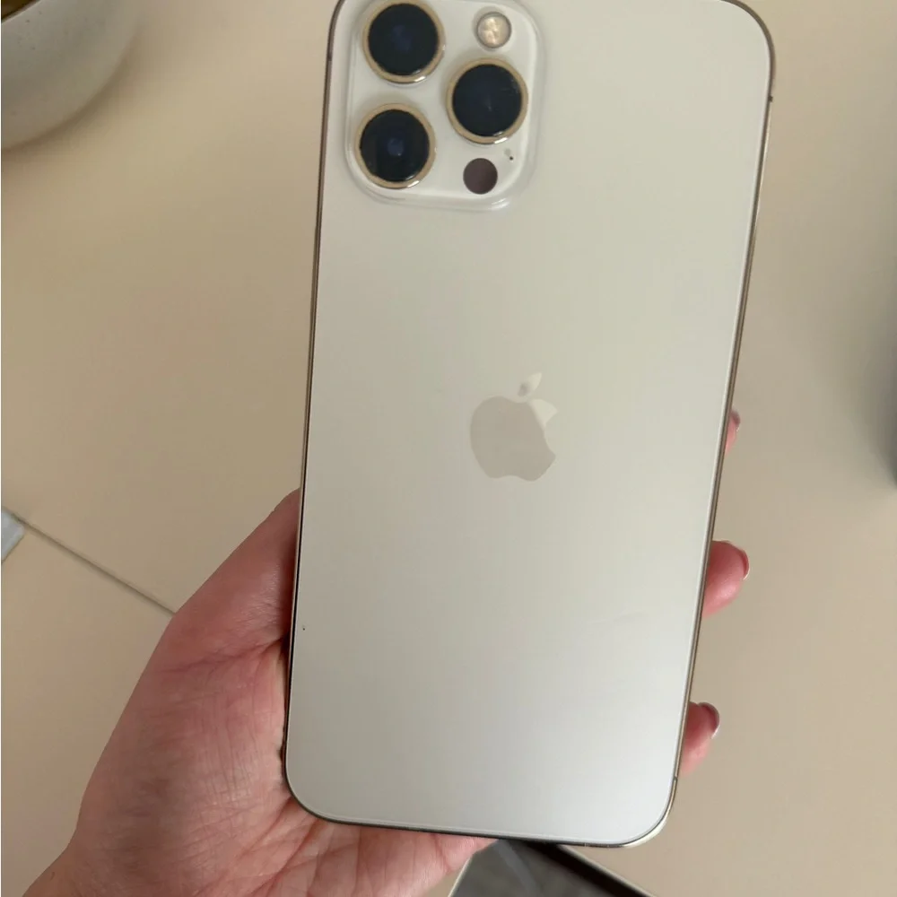iPhone 12 Pro Max 256gb